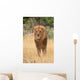 Lion king Wall Mural
