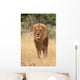Lion king Wall Mural