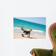 Cat on the beach Wall Mural