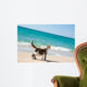 Cat on the beach Wall Mural