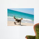 Cat on the beach Wall Mural