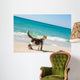 Cat on the beach Wall Mural