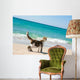 Cat on the beach Wall Mural