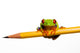 Frog on a Pencil Wall Decal