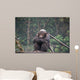 Chimpanze Wall Mural