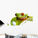 Red Eyed Tree Frog Wall Mural