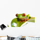 Red Eyed Tree Frog Wall Mural