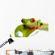 Red Eyed Tree Frog Wall Mural
