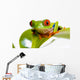 Red Eyed Tree Frog Wall Mural