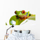 Red Eyed Tree Frog Wall Mural