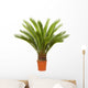 Cycas Palm Room Wall Decal