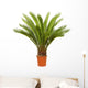 Cycas Palm Room Wall Decal