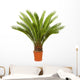 Cycas Palm Room Wall Decal