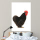 Black Cock Wall Decal