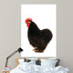 Black Cock Wall Decal