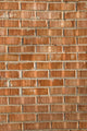 Red Brick Wall Wall Decal