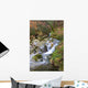 River Water Wall Mural