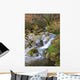 River Water Wall Mural