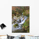 River Water Wall Mural