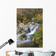 River Water Wall Mural