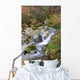 River Water Wall Mural