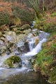 River Water Wall Mural