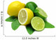 Lemons and Limes Wall Decal