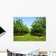 Apple Trees Wall Decal Design 2