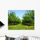 Apple Trees Wall Decal Design 2