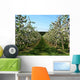 Apple Trees Wall Decal Design 1