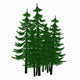 pine Wall Decal