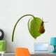Snail Wall Decal