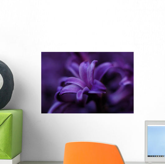 Macro Purple Flower Wall Decal