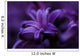 Macro Purple Flower Wall Mural