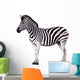 Zebra Wall Decal