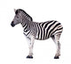 Zebra Wall Decal