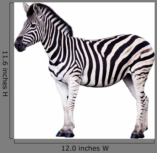 Zebra Wall Decal