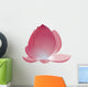 Lotus Color