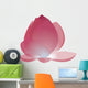 Lotus Color