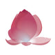 Lotus Color
