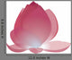 Lotus Color