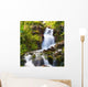Small Natural Spring Waterfall