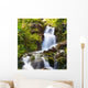 Small Natural Spring Waterfall