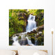 Small Natural Spring Waterfall