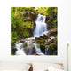 Small Natural Spring Waterfall