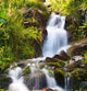 Small Natural Spring Waterfall