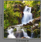 Small Natural Spring Waterfall