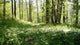 Undergrowth Wall Decal