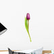 Tulip Over White Wall Decal