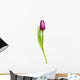 Tulip over White Wall Decal